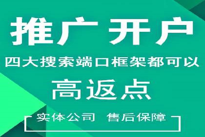 SEO关键词优化：某品牌逆袭的案例解析